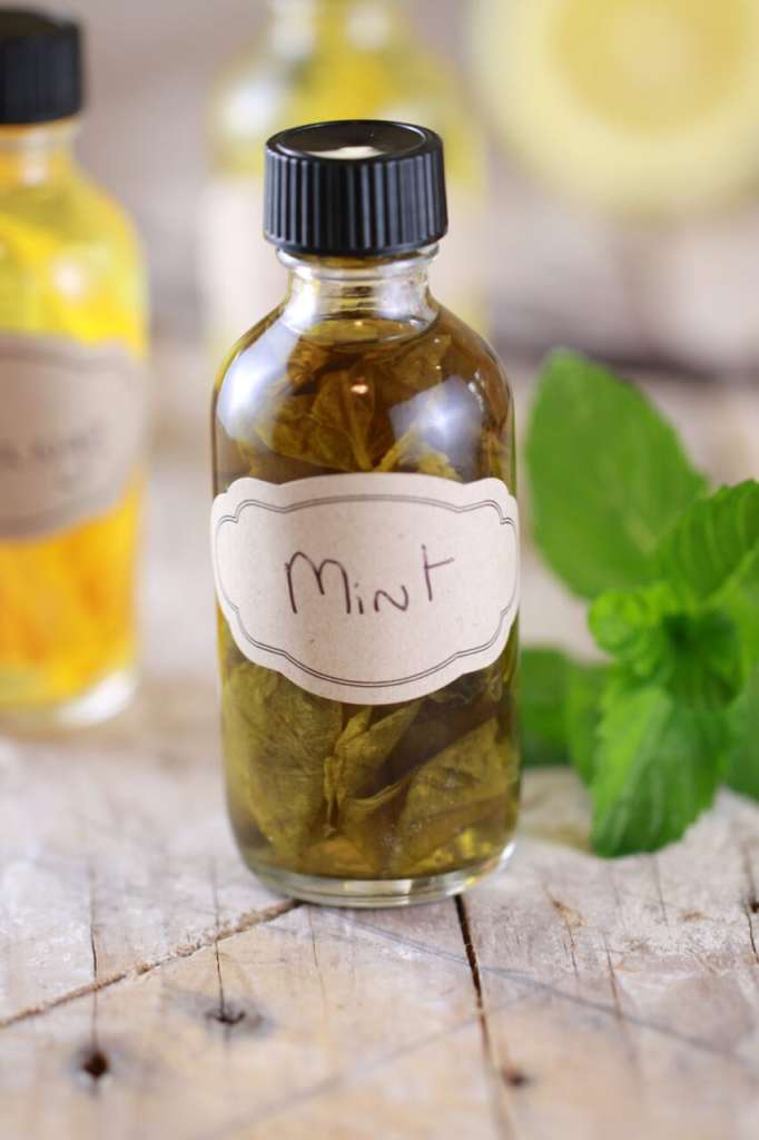 Mint Extract