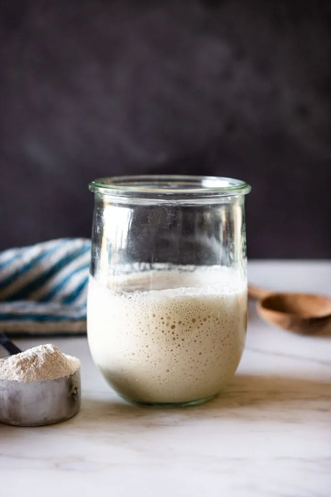 Sourdough Starter