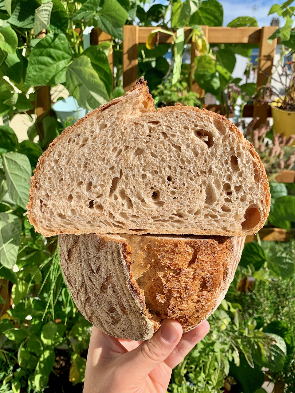 The Bread Code Sourdough